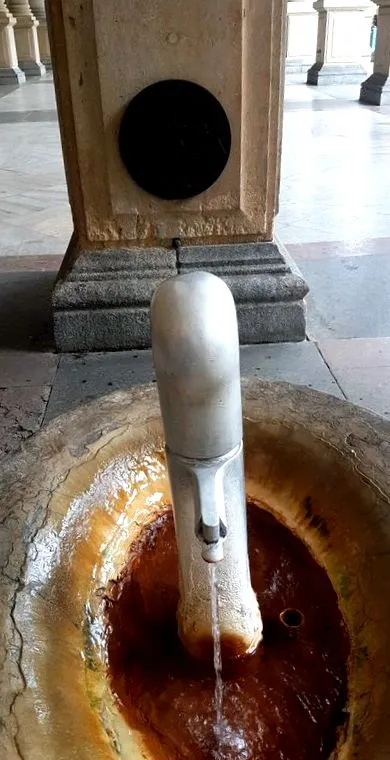 znovuobjavený jedákov