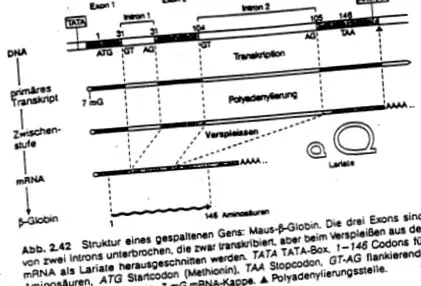 mesterséges mRNS