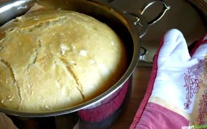 coaceți
