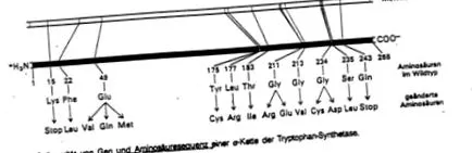 mesterséges mRNS