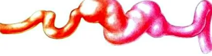 boli