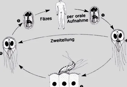 tünetei