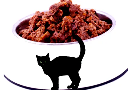 котів