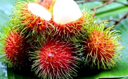 rambutan egészségügyi