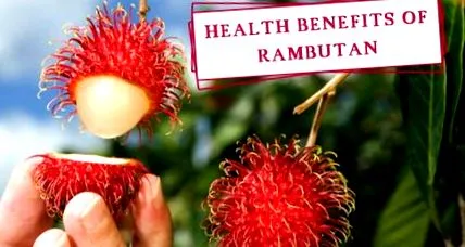 rambutan egészségügyi