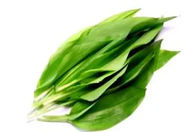 verde mănâncă