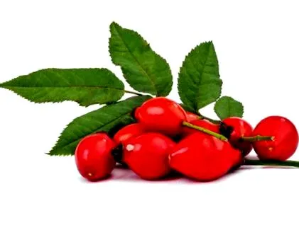 fructele