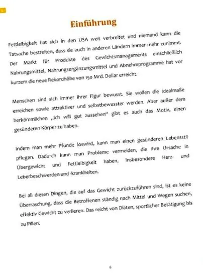 rendszer