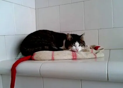 szívben