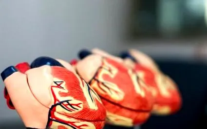állatbarátoknak hogy minden