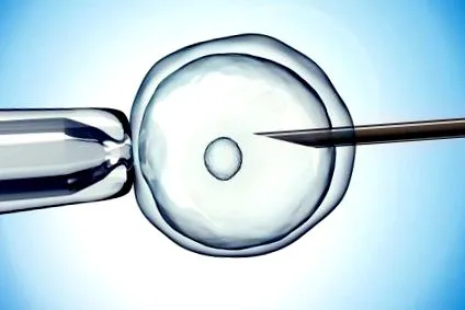 fertilitate