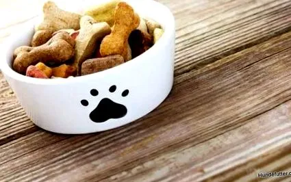 hundefutter