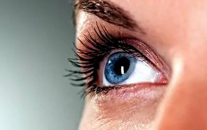 retina