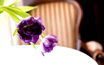 merano hotel