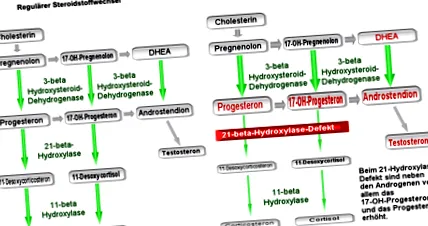 obsgyn-wiki