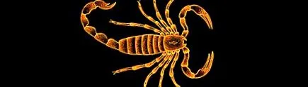 zodiacal scorpion