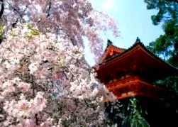 japán