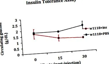 injecție