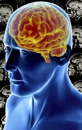 neurol