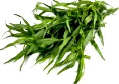 calorii