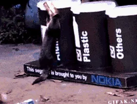 светот