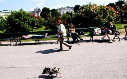 базел