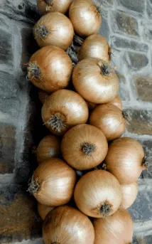 nivelul