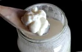 kefir