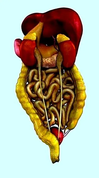 dietă