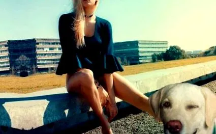 retriever
