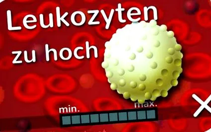 fehérvérsejtek