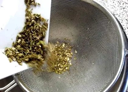 maggi
