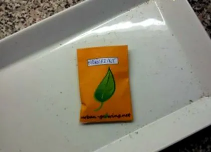 plante