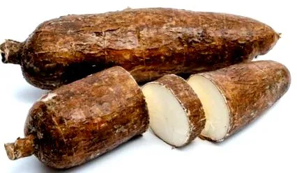 tropicelor