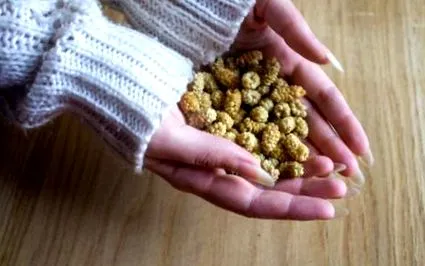 superfood