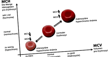 hemoglobin