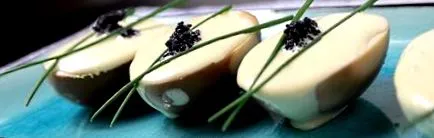 tapasztalatom