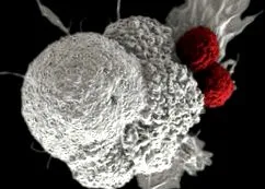 mymicrobiome
