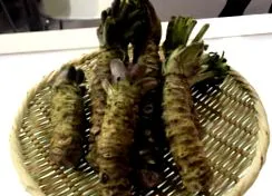 japánból wasabi