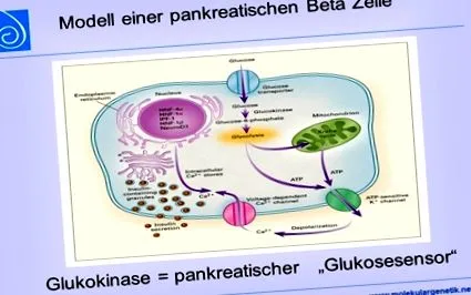 diagnosticul