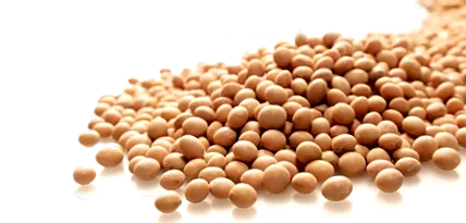 prime bază