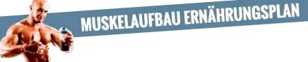 nutriție pentru