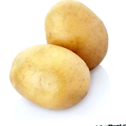 oligoantigén