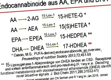 metabolikus szindróma