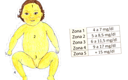 черния дроб