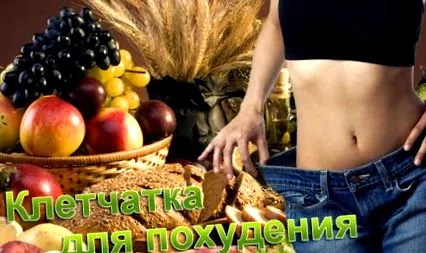 целулоза