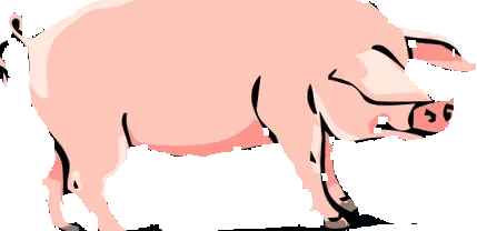 тодокарн