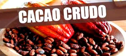 cacao