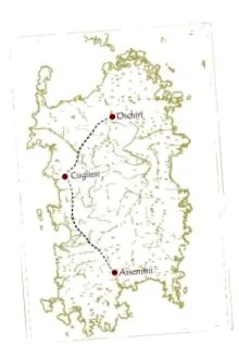 antropológiai panada