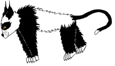 panta